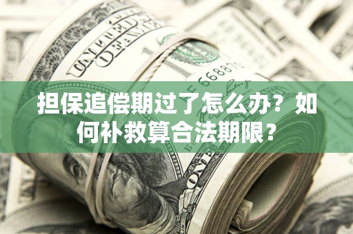 北京担保追偿期过了怎么办？如何补救算合法期限？