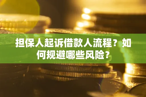 北京担保人起诉借款人流程？如何规避哪些风险？