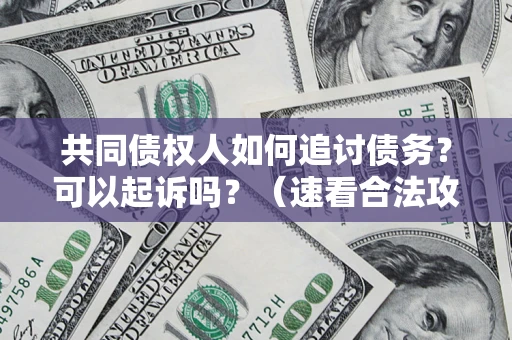 北京共同债权人如何追讨债务？可以起诉吗？（速看合法攻略）