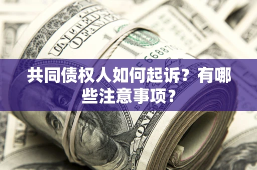 北京共同债权人如何起诉？有哪些注意事项？